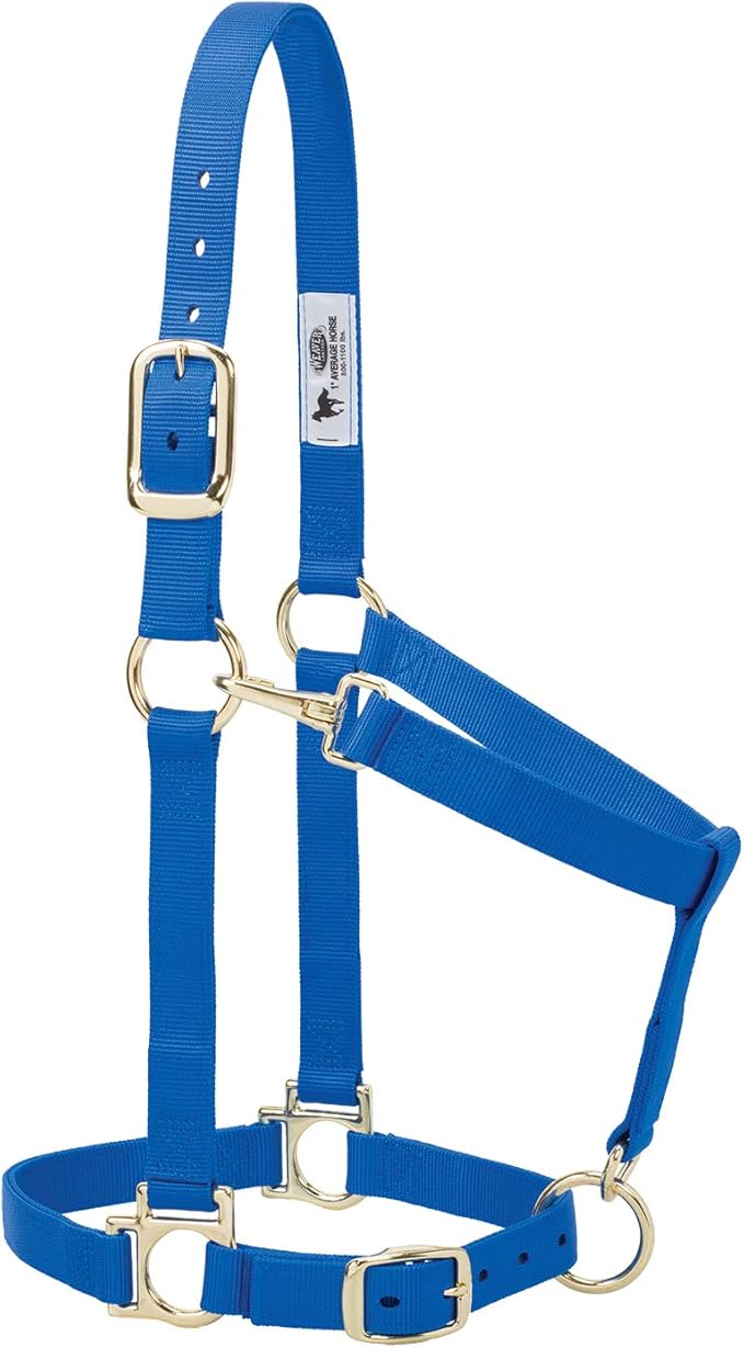 Weaver Equine Nylon Horse Halter, Triple-Ply Cheek Design, Original Non Adjustable Halters for Horses, Equine Tack,Average Size, Black