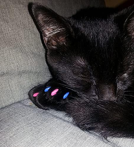40 Pack Soft Nail Caps for Cat Claws Soft Pink Medium