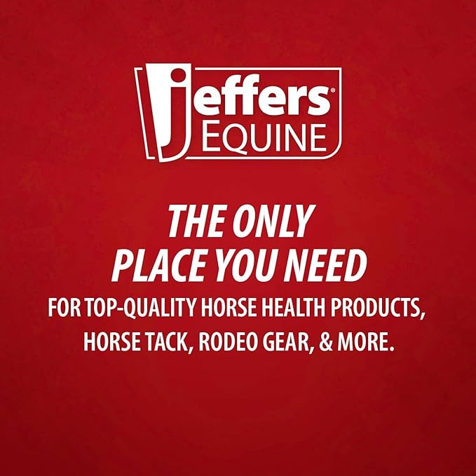 Jeffers Equine Protective Horse Boots 1 Pair Black, Safe Neoprene Leg Guards & Comfortable Fit, Durable Strap Closures, Front & Hind Support, Equestrian Accessories for Travel & Riding - Medium