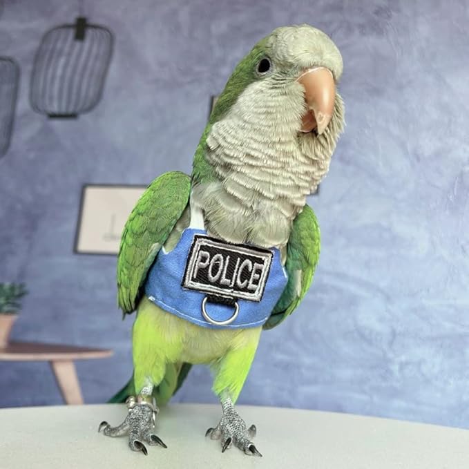 Bird Flight Harness Vest, Parrot Flight Suit with Leash, Bird Flying Clothes with Rope and Handle for Outdoor Activities (with Leash,Cockatiel)
