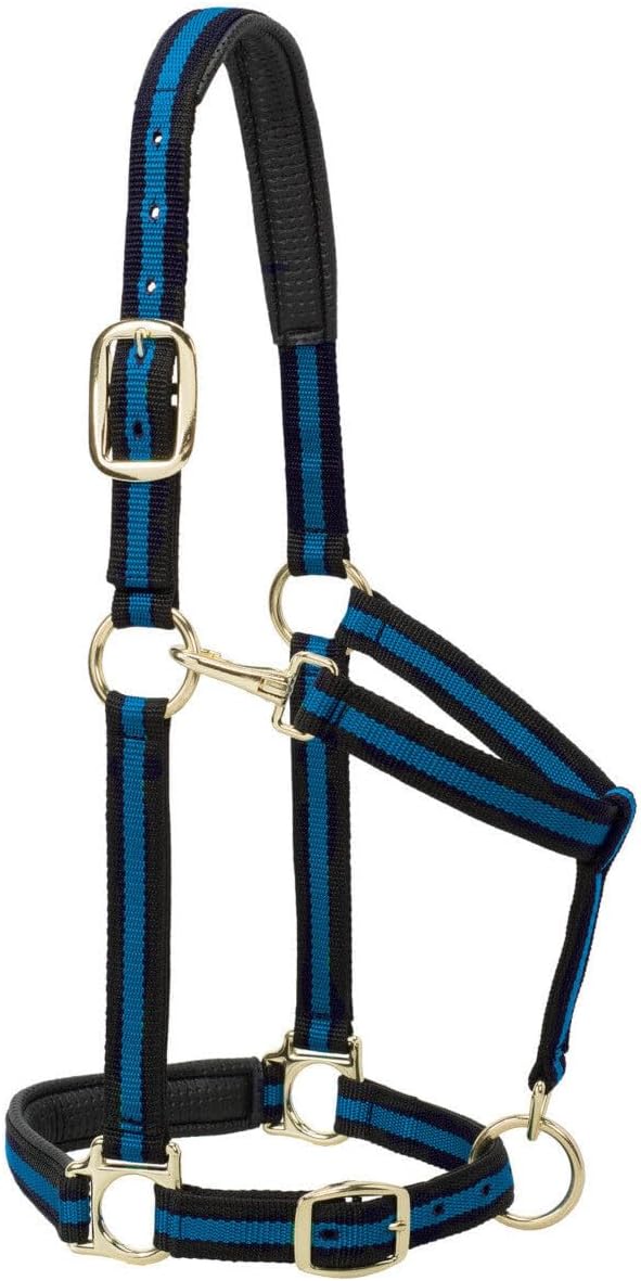 Weaver Equine Nylon Horse Halter, Triple-Ply Cheek Design, Original Non Adjustable Halters for Horses, Equine Tack,Average Size, Black
