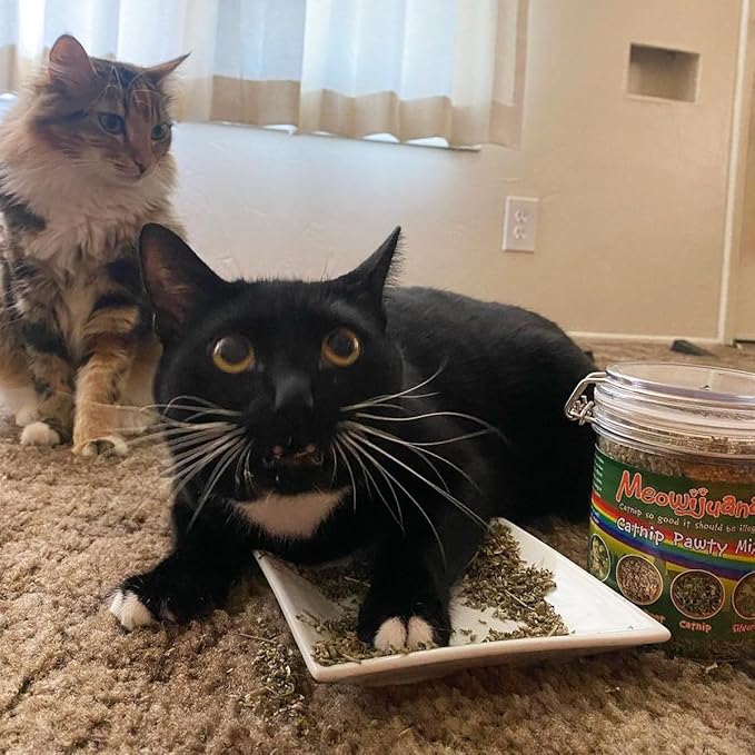 Meowijuana Catnibas Catnip Pawty Mix Jar | Premium Cat Nip for Cats with Silvervine, Passion Flower, Chamomile, Dandelion & Valerian Root | High Potency Catnip | 60g