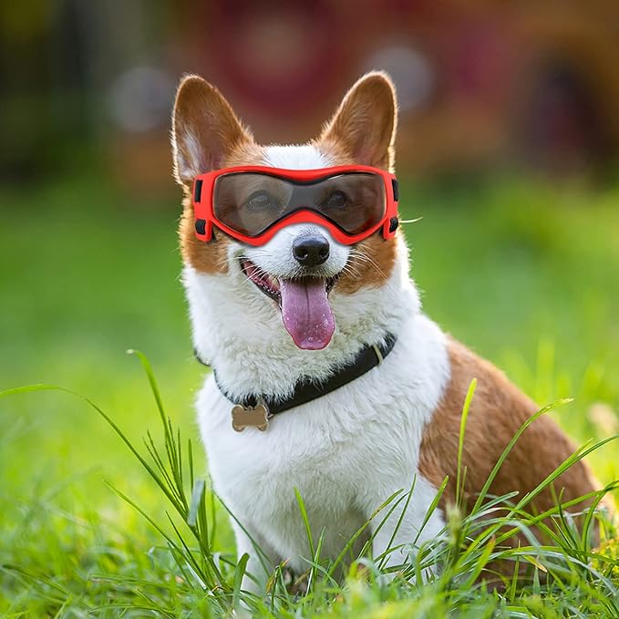 QUMY Dog Goggles UV Protection for Small to Medium Breed, Dog Sunglasses Windproof Anti-Fog Dustproof Snowproof, Puppy Glasses for Outdoor Riding Driving with Comfortable Frame Adjustable Straps