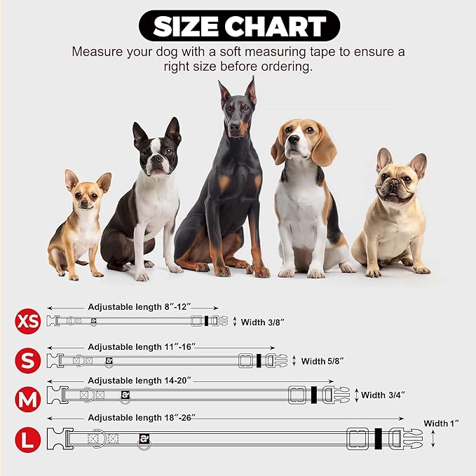 azuza Reflective Dog Collar with Airtag Holder, Soft Neoprene Padded Pet Collar with ID Tag Ring, Adjustable for Medium Dogs,Royal Blue,M