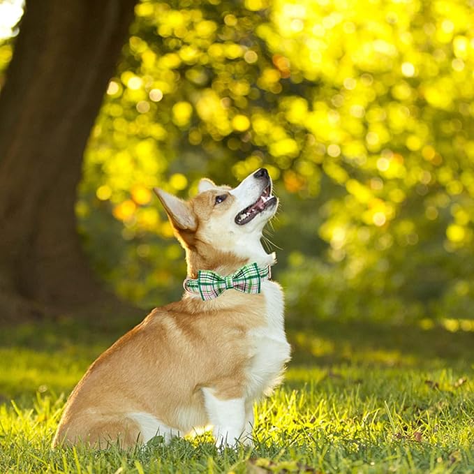 Elegant little tail Dog Collar with Bow - Pink with Green Plaid Boy or Girl Dog Collar Cute Bowtie Pet Collar Adjustable Dog Collar for Large Dogs
