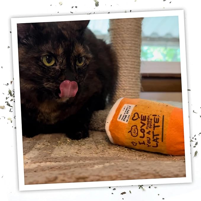 Meowijuana Get Spooked Bundle | Pumpkin Spice Latte Refillable Toy and Harvest Moon Blend | Promotes Play and Cat Health | Includes North American Organic Catnip