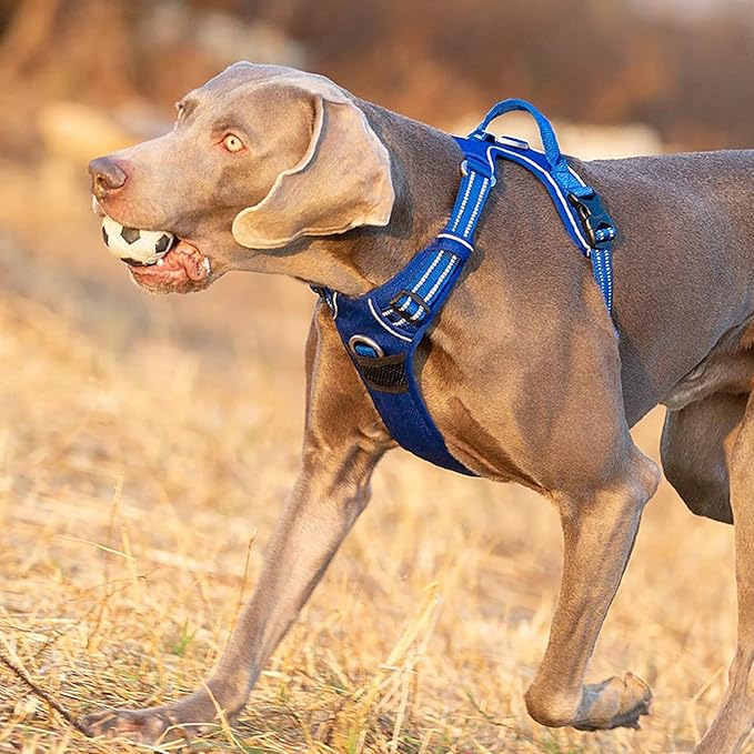 TRUE LOVE Dog Harness No Pull Nylon Reflective Pet Harness Adjustable Comfortable Control Step-in Brilliant Colors Truelove TLH56512