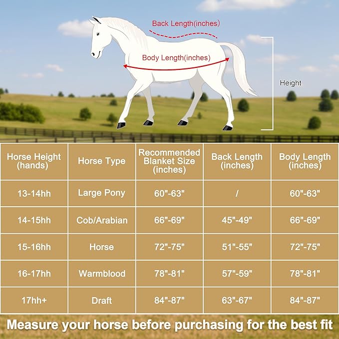 Horse Fleece Cooler, Blanket Liner - 300g Anti-Pilling Fleece, Moisture-Wicking, Cooling & Drying for Post-Workout, Bath & Travel, Prevent Overheating & Chilling Black 78