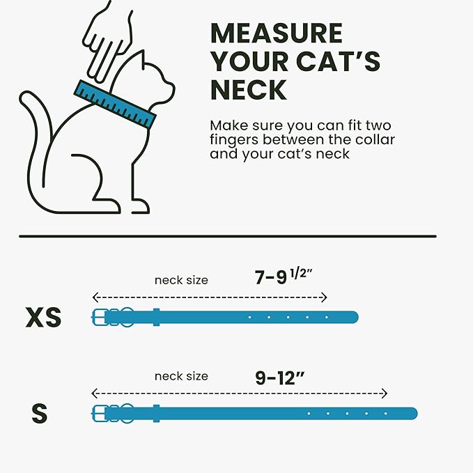 BRONZEDOG Leather Cat Collar with Removable Bells Non Breakaway Kitten QR Tag for Girl Boy (7" - 9" for Cats, Blue & Silver)