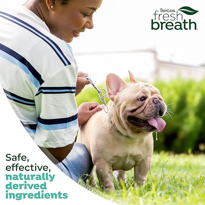 TropiClean Fresh Breath TripleFlex Toothbrush for Small & Medium Dogs | 360-Degree Dog Dental Cleaning | Dog Toothbrush for Small & Medium Breeds