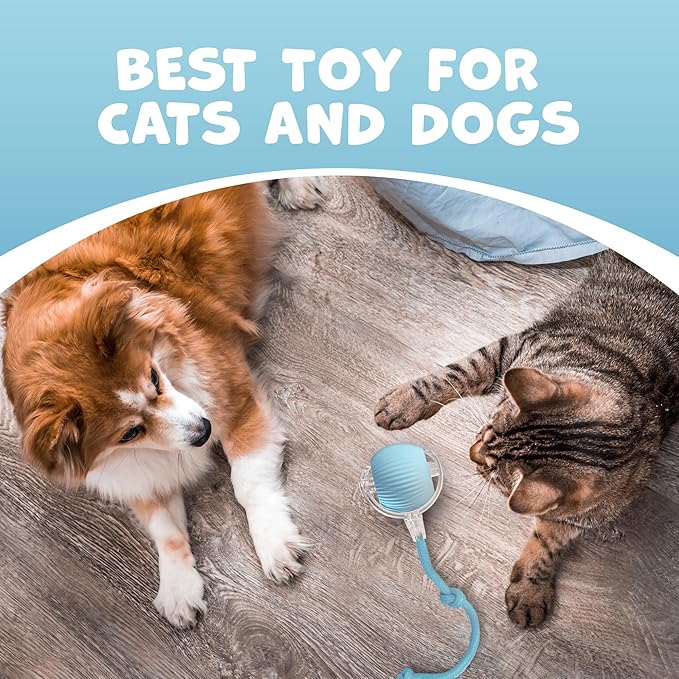Pawlo Speedy Tail 2.0 Cat Toy –Teazys Turbo Tail Upgrade – Interactive Cat Toy – Kitten Toys – Automatic cat Toy for Boredom – Moving cat Toys for Indoor Cats with 2 Tails (Blue)