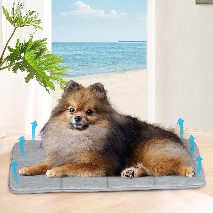 Dog Cooling Mat for Small Dogs - 24x18 Orthopedic Memory Foam Pet Pad for Summer, QMAX>0.5, Washable Premium Comfort Crate Pad for Your Furry Companion, Grey
