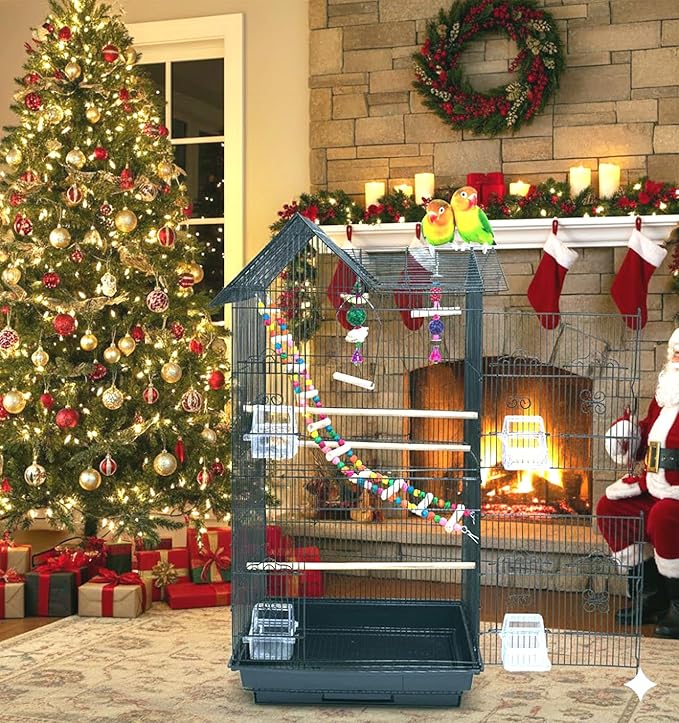38-Inch Double Roof Top Large Flight Bird Cage with Toys Climbing Ladder Side Nesting Box Doors for Cockatiels Sun Parakeets Conures Aviary Budgie Finch Lovebird Canary Pet Bird Travel Cage