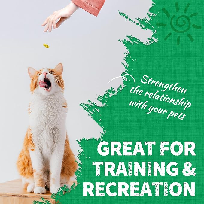 Just Try 13.4 OZ Crunchy Cat Treats Catnip Treats for Cats with Digestive Support, Natural Ingredients Kitten Treats with Real Salmon, Healthy Feline Snacks Training Biscuits Dental Care
