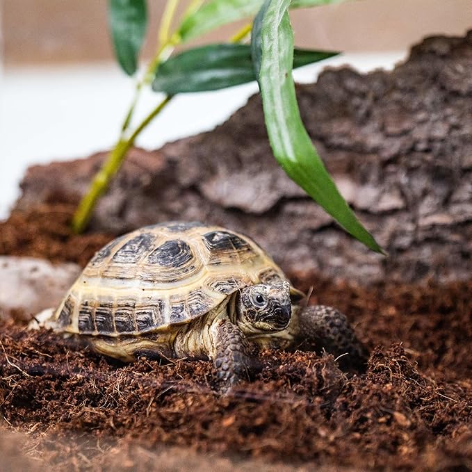 Gardenera Terrarium Bedding - Superior Drainage, Nutrient Retention, and Water Retention for Thriving Terrarium Plants - 5 QUARTS