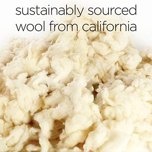 Molly Mutt Sheepy Wool Crate Mat - 100% Cotton Canvas Cover with Temperature-Regulating 100% Natural Wool-Filled Insert Dog Bed - Soft & Supportive Wool-Filled Bed - (30"x21"x2.5", Everywhere)