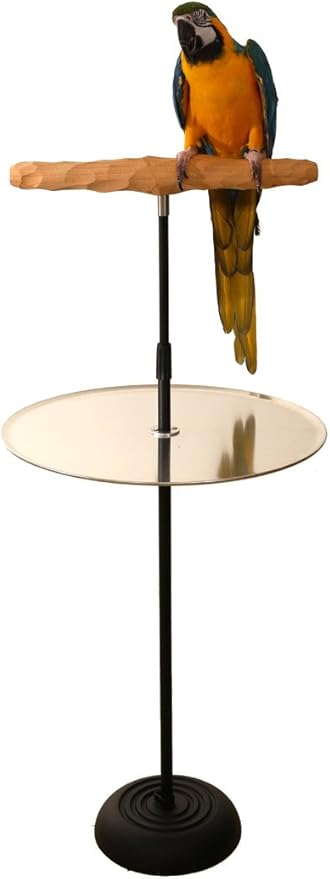 Parrot Training Perch Stand with Potty Tray (T Perch Hardwood, Large)