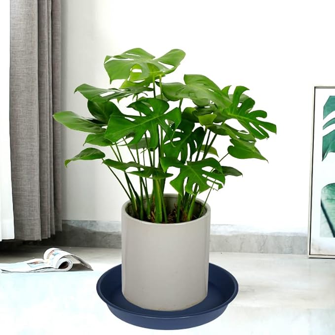 6 Pack of 10 inch Plant Saucer Blue, Heavy Duty Plastic Plant Saucer 10 inch Round, Flower Plant Saucers for Indoors, Plant Trays for Planter 8"/9"/10" (10", Blue)