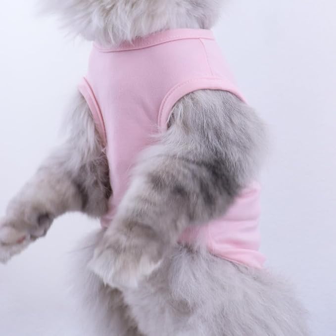 Custom Dog Birthday Shirt,Personalized Pet Apparel Print with Name Age Number,Pet Birthday Outfit,Lightweight Breathable Cotton Vest for Small Medium Large Dogs Cat (Blue, XX-Large)