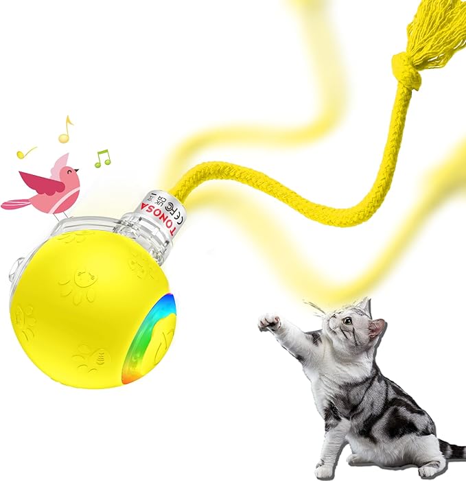 Interactive cat Toys for Bored Indoor Adult Cats. Motion Activated, RGB Lighting, 3 Motion Modes. Kitten Toys for Indoor Cats self Play