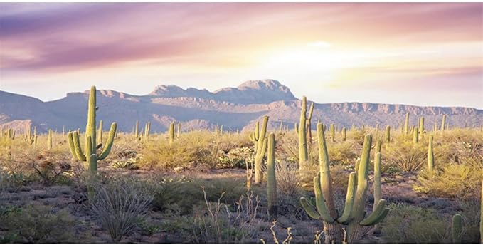 AWERT Reptile Habitat Background Blue Sky Oasis Mountain Cactus Sun and Desert Terrarium Background 72x24 inches