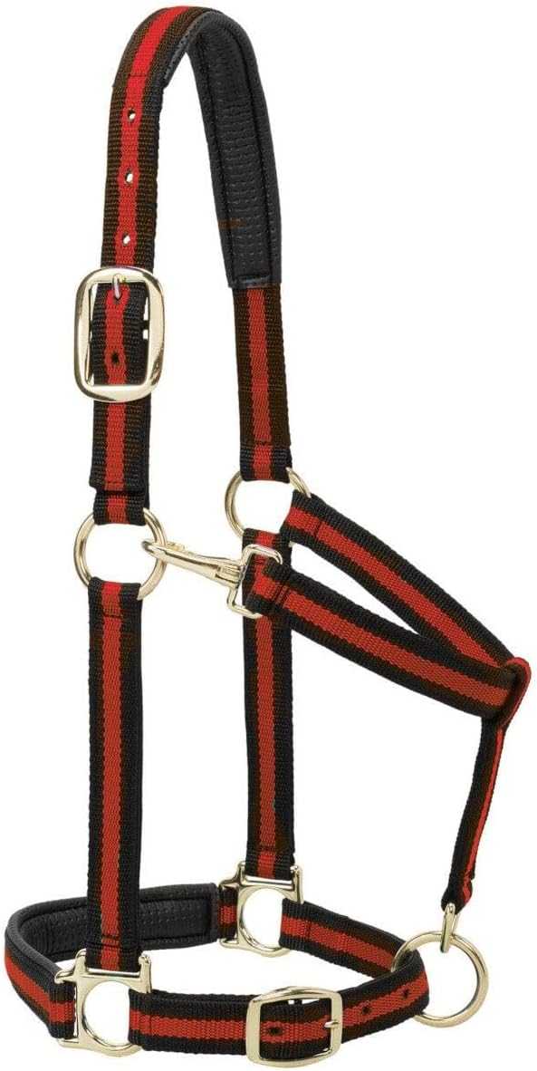 Weaver Equine Nylon Horse Halter, Triple-Ply Cheek Design, Original Non Adjustable Halters for Horses, Equine Tack,Average Size, Black