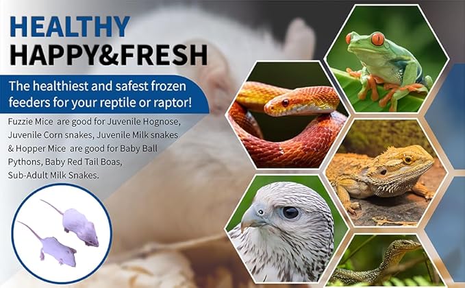 MiceDirect Frozen Mice Combo Pack 100 Fuzzies & 100 Hoppers Frozen Reptile & Snake Food (200 Count)