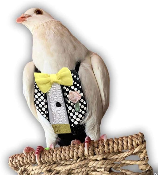 Bev's Bird Boutique Regular Flyper Adjustable Bird Diaper | Reusable, Washable Cloth | Comfort Fit for Parrot, Cockatiels, & Other Small Birds | Fashionable Avian Accessories, Retro Tux, Size 8