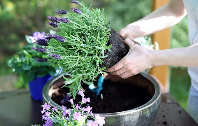 Gardenera Organic Moisture Control Potting Mix - Absorbs 33% More Water Than Basic Potting Soil - 20 Quart