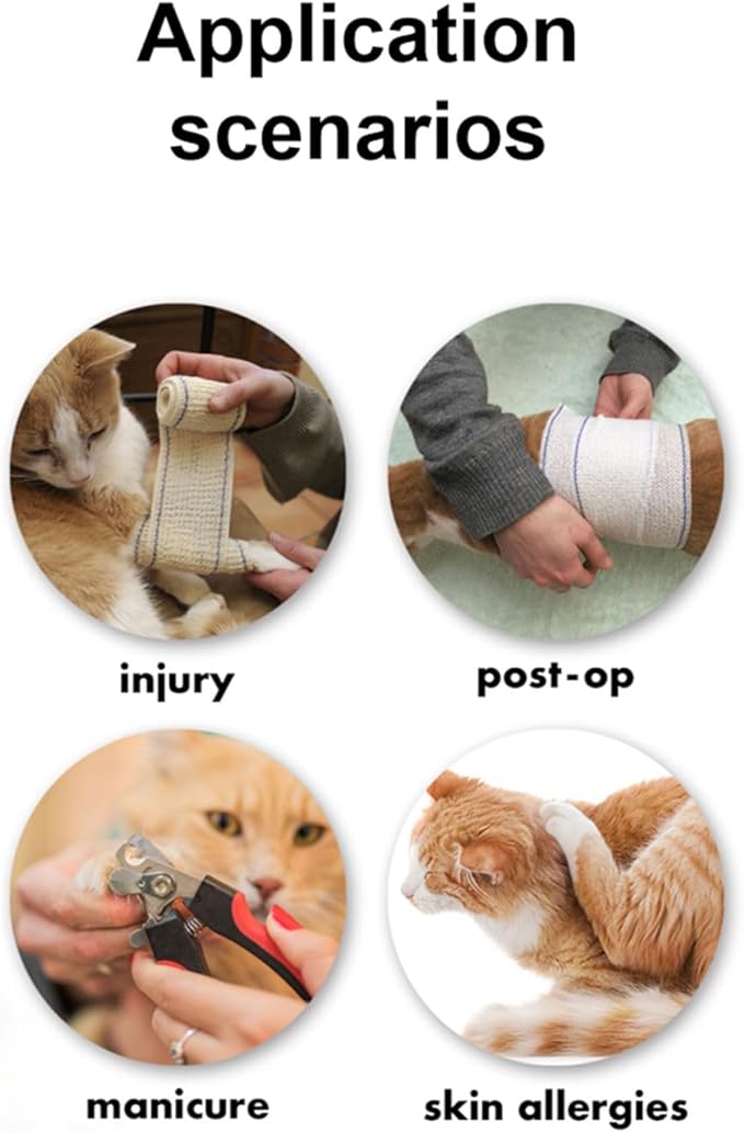EWES Cat Cone Collar Soft S Size Alternative Neck Cones to Stop Licking Kitten Comfy Elizabethan Collars After Surgery Neuter Dog Donut Collar for Pet e Collar Recovery Shame
