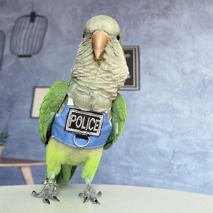 Bird Flight Harness Vest, Parrot Flight Suit with Leash, Bird Flying Clothes with Rope and Handle for Outdoor Activities (with Leash,Cockatiel)
