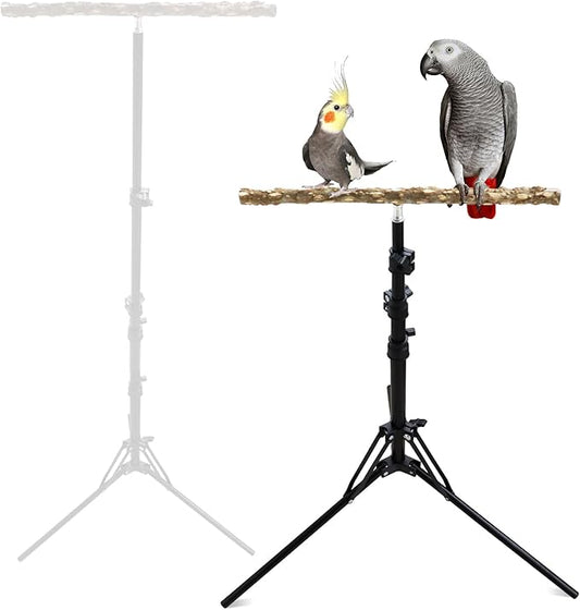 Wooden Bird Perch Stand with a Height Adjustable Tripod, Bird Training Accessories for Indoor or Outdoor, Birds Stand for African Grey, Budgies, Cockatiels, Lovebirds, Conures, Small to Medium Birds