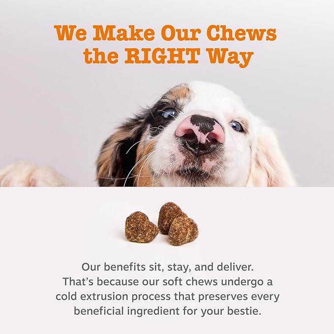 Zesty Paws Probiotics for Dogs, Digestive Enzymes Gut Flora, Digestive Health, Diarrhea & Bowel Support, DE111, Dog Probiotic Soft Chew for Pet Immune System, Pumpkin, 250 Ct