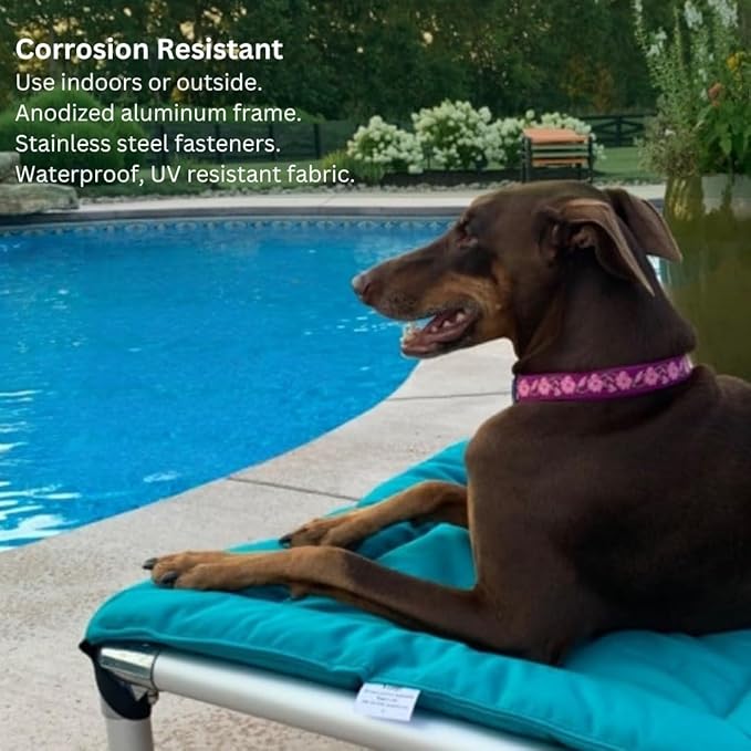 Kuranda Chewproof Elevated Pet Bed - Silver Aluminum - 50" x 36" - Sunsure Textilene - Birch