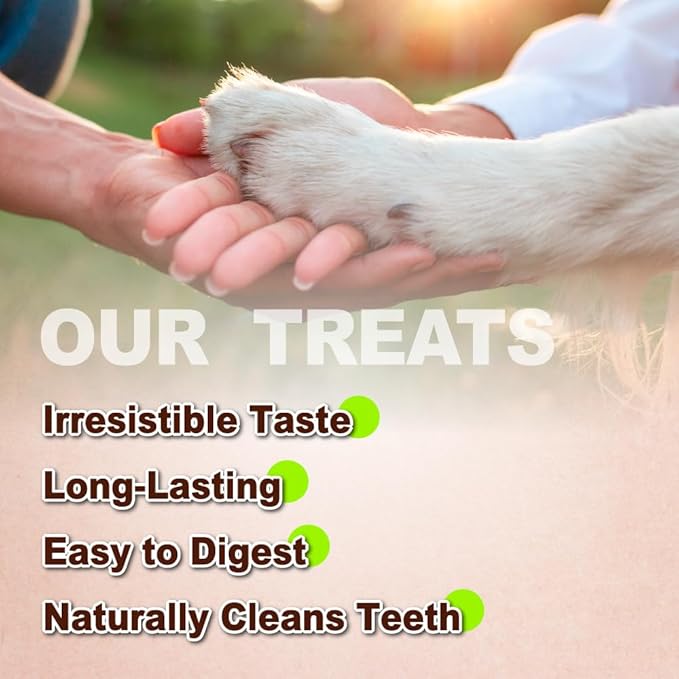 A Freschi srl Turkey Tendons for Dogs, Long-Lasting, Hypoallergenic Rawhide Alternative, Human Grade, Healthy Puppy Chews, Natural Dog Treats for Large Dogs, Bone (L), 1 Count Pack