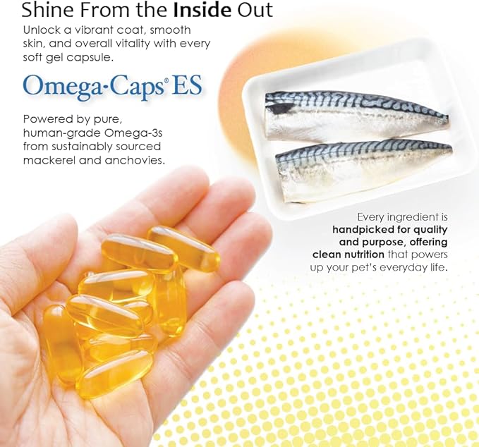 Omega Caps ES Extra Strength for Large and Giant Dogs Omega-3 and Omega-6 Fatty Acid Antioxidant Supplement Vet Formulated Made in USA Skin Coat Joint Heart and Immune Health 60 Softgel Capsules