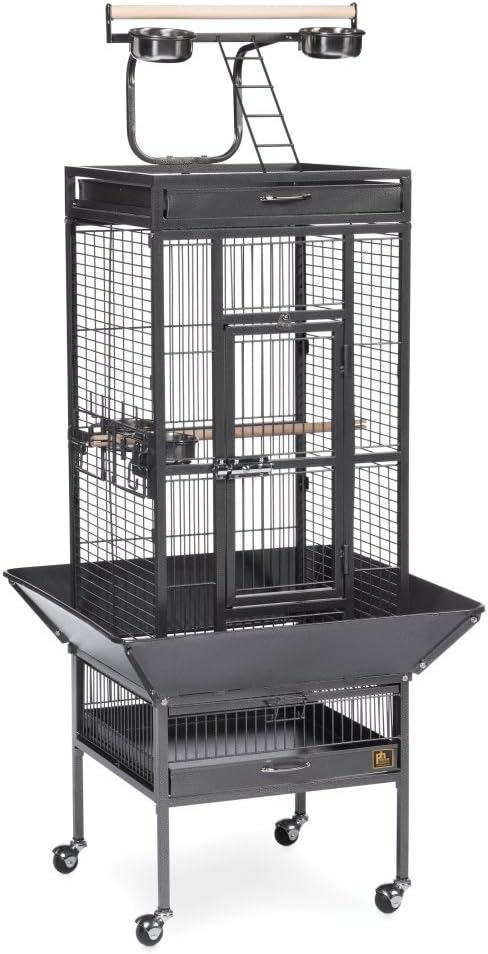 Prevue Pet Products Wrought Iron Select Bird Cage Black Hammertone 3151BLK, 18'' x 18'' x 57''