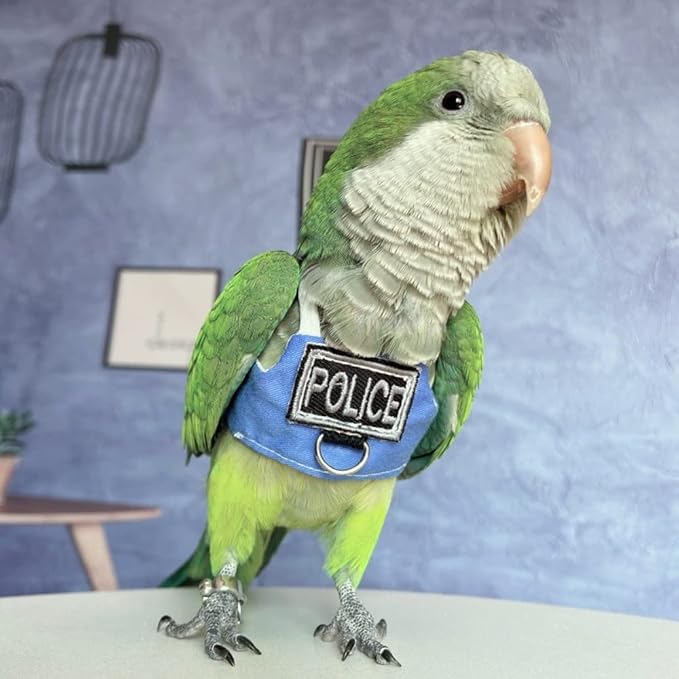 Bird Flight Harness Vest, Parrot Flight Suit with Leash, Bird Flying Clothes with Rope and Handle for Outdoor Activities (Without Leash,Necked Parakeet)