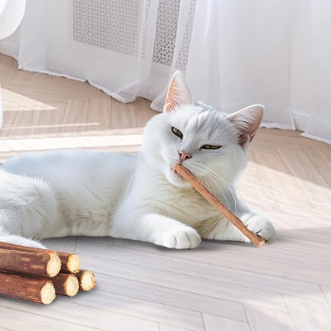 Cat Toys Cat Chew Toys, Silvervine Sticks Catnip Rope Toys for Cats Teeth Cleaning, Kitten Dental Care, Kitty for Indoor Cats Increase Appetite,Enhances Oral & Dental Health (21 Pack)