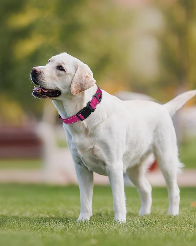 Joytale Large Dog Collar, Reflective and Adjustable Nylon Pet Collar with Quick-Release Buckle for Large Dogs, Hotpink, L