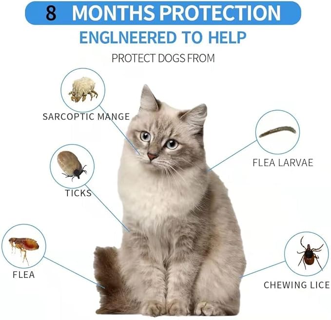 Flea Collar for Cats, Flea and Tick Collars for Cats and Kittens, 8 Month Protection, Gray, 1 Pack CAT