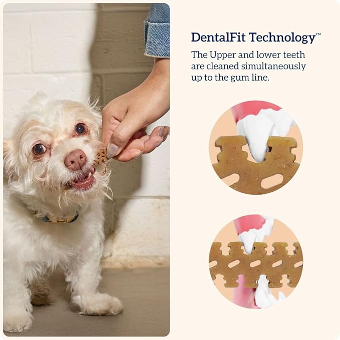 Groovies Flexible Dog Dental Chews with Patented DentalFit Technology to Help Support Tartar Control & Fresh Breath, XLarge Dog Chews for 50-100 lb Dogs, USA Manufactured Oral Care, 4 Chews