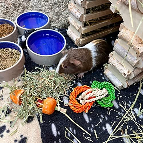 Blue Mountain Hay | Fresh Organic Oat Hay (15 Ounce) | Good for Sensitive Digestion | High-Altitude Hay Pet Food for Rabbits, Guinea Pigs, Chinchillas, Hamsters, and Other Small Pets