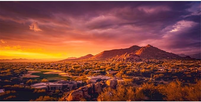 AWERT 72x16 inches Sun and Desert Terrarium Background Mountain Oasis Gobi Reptile Habitat Background Vinyl