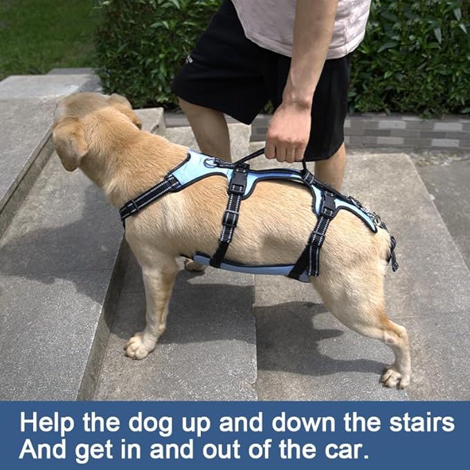 Coodeo Dog Lift Harness, Full Body Support & Recovery Sling, Pet Rehabilitation Lifts Vest for Old Dog with Arthritis Walk(Bule,L)