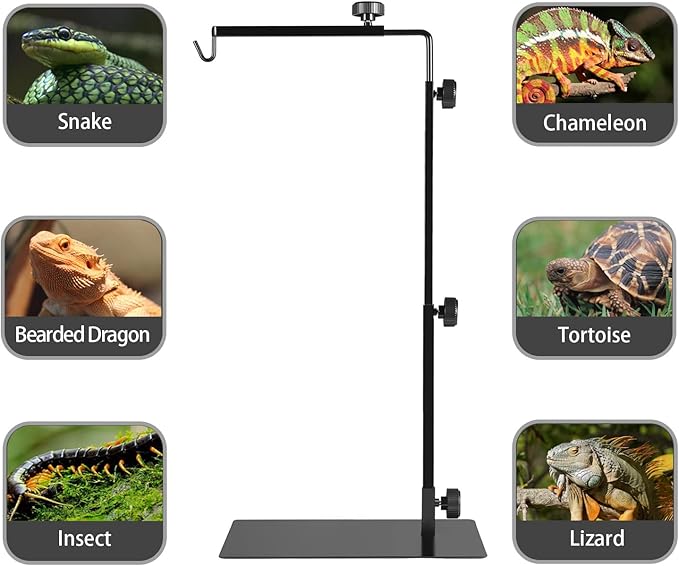 Reptile Metal Lamp Stand, Adjustable 24 to 38 in of The Basking Light Floor Holder Heat Lamp Bracket, Suitable for Snake Turtle Bearded Dragon Chameleon Habitat Terrarium Tank Accessories