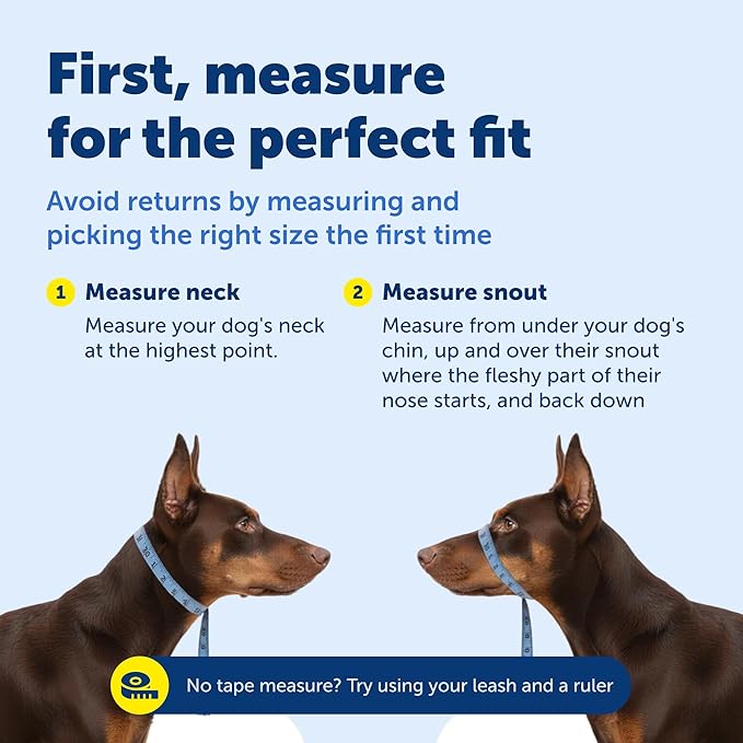 PetSafe Gentle Leader Headcollar No-Pull Dog Collar - Helps Improve Walks - Durable Nylon Construction - Padded Nose Loop - Adjustable Fit - Comfort Walking Halter - Medium, Black