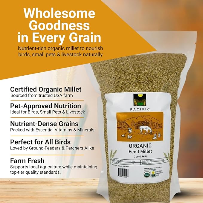 PACIFIC Organic Petfood Organic Feed Millet - Millet Bird Seed | Rich with Fiber & Minerals | USDA and CCOF Certified | Packed in USA (5 Pound (Pack of 1))