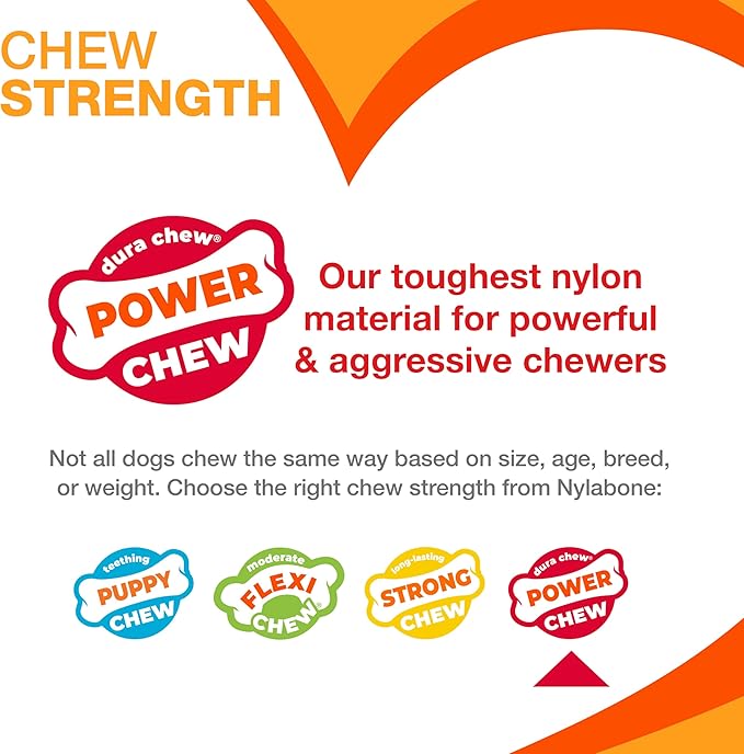 Nylabone Original Bone Power Chew Toy for Dogs, Durable & Tough Dog Toys for Aggressive Chewers, Bacon Flavor, Small - Up to 25 lbs - Up to 25 Ibs, 1 Count