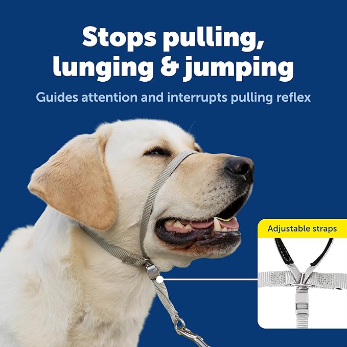 PetSafe Gentle Leader Headcollar No-Pull Dog Collar - Helps Improve Walks - Durable Nylon Construction - Padded Nose Loop - Adjustable Fit - Comfort Walking Halter - X-Large, Black